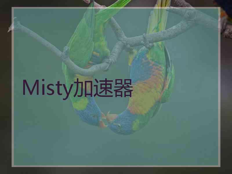 Misty加速器