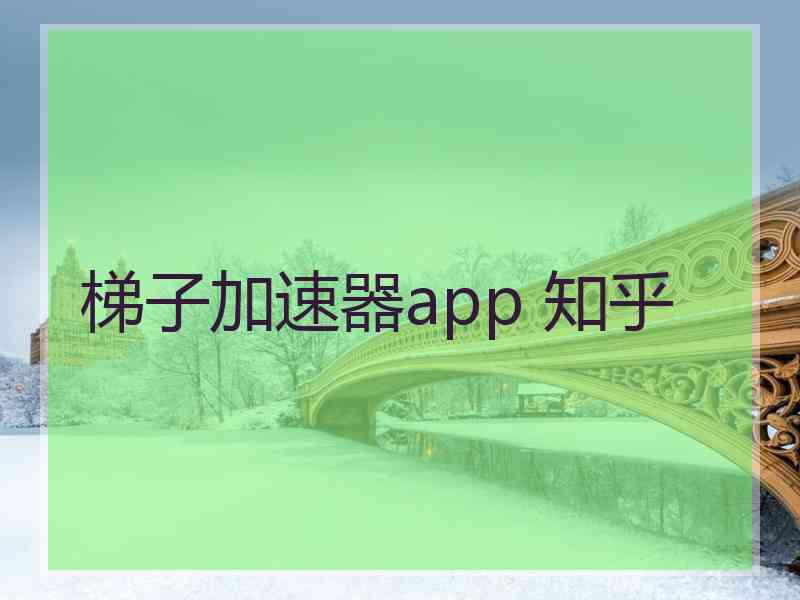 梯子加速器app 知乎