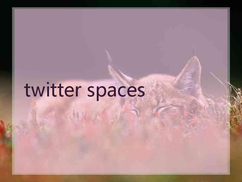 twitter spaces