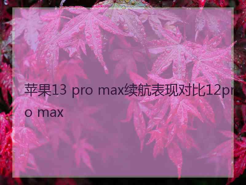 苹果13 pro max续航表现对比12pro max