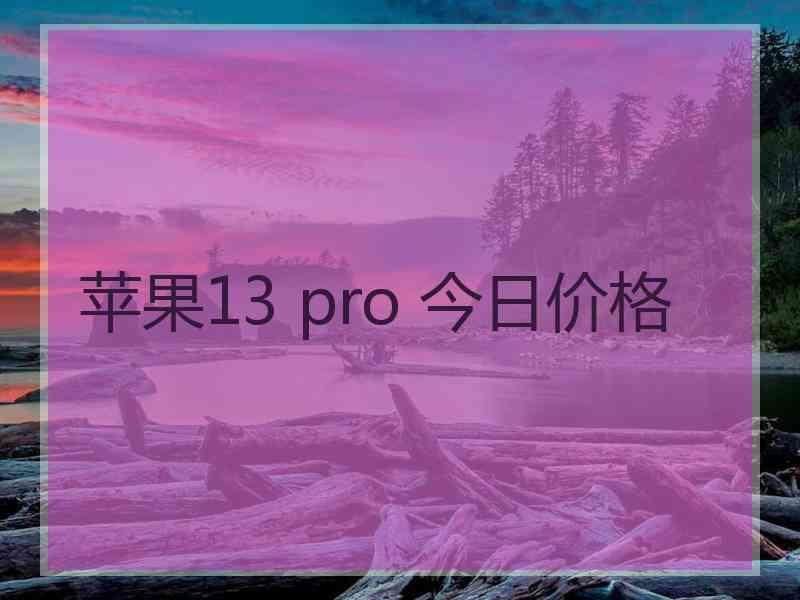 苹果13 pro 今日价格