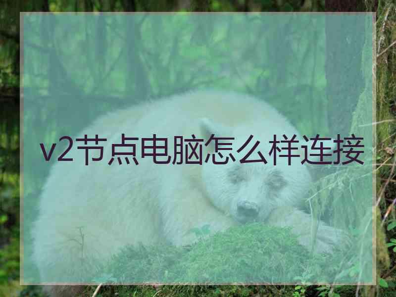 v2节点电脑怎么样连接