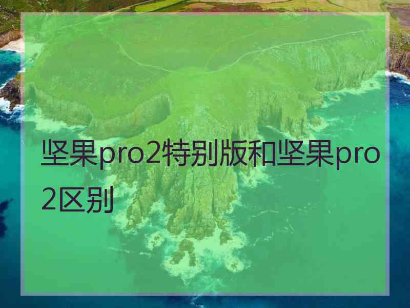 坚果pro2特别版和坚果pro2区别