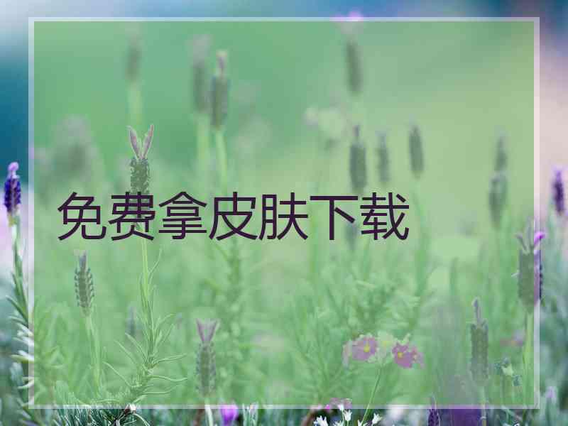 免费拿皮肤下载