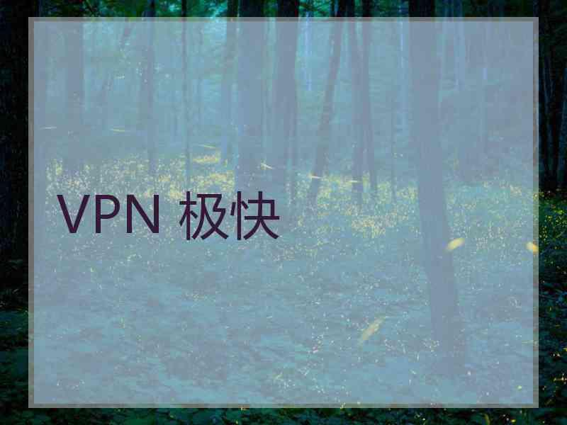 VPN 极快