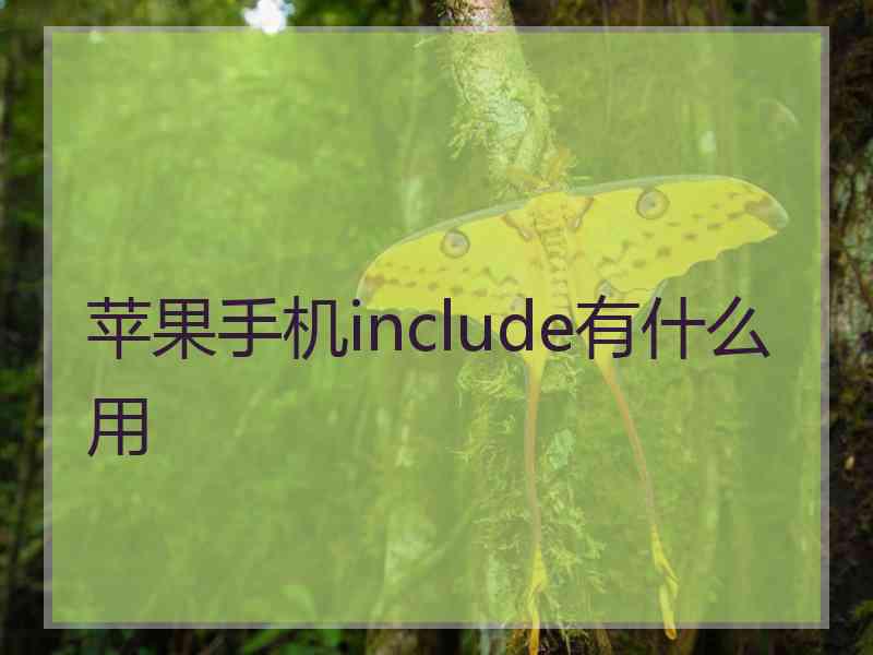 苹果手机include有什么用