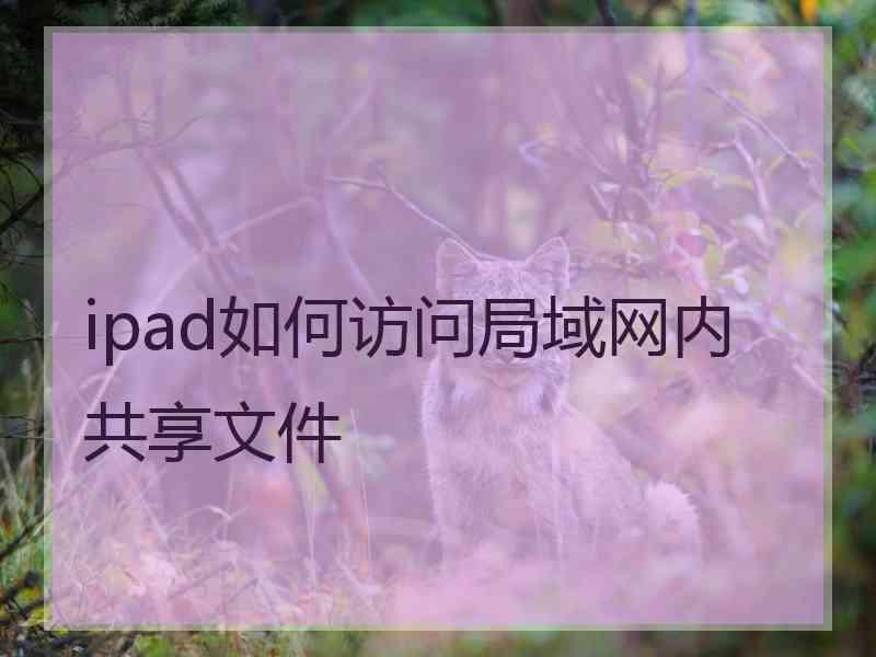 ipad如何访问局域网内共享文件