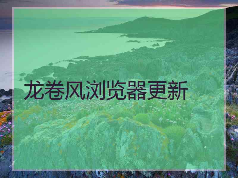 龙卷风浏览器更新