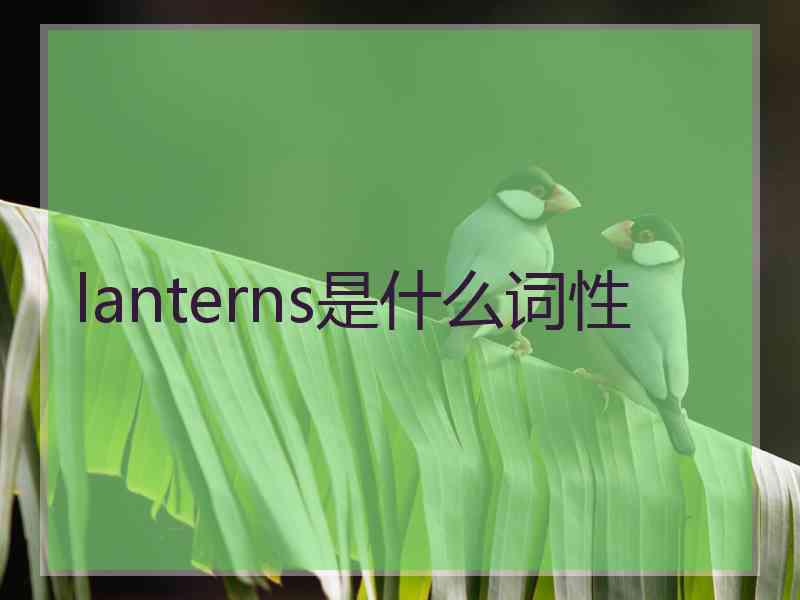 lanterns是什么词性