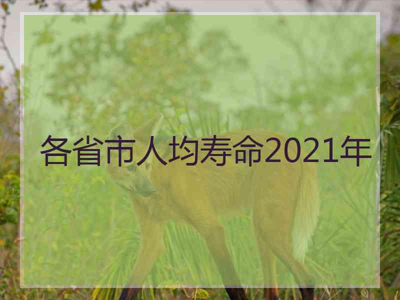 各省市人均寿命2021年