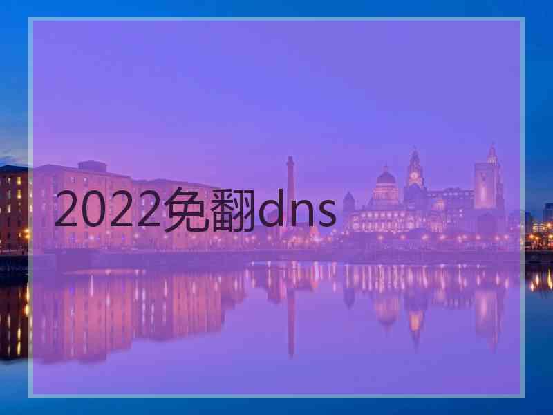 2022免翻dns