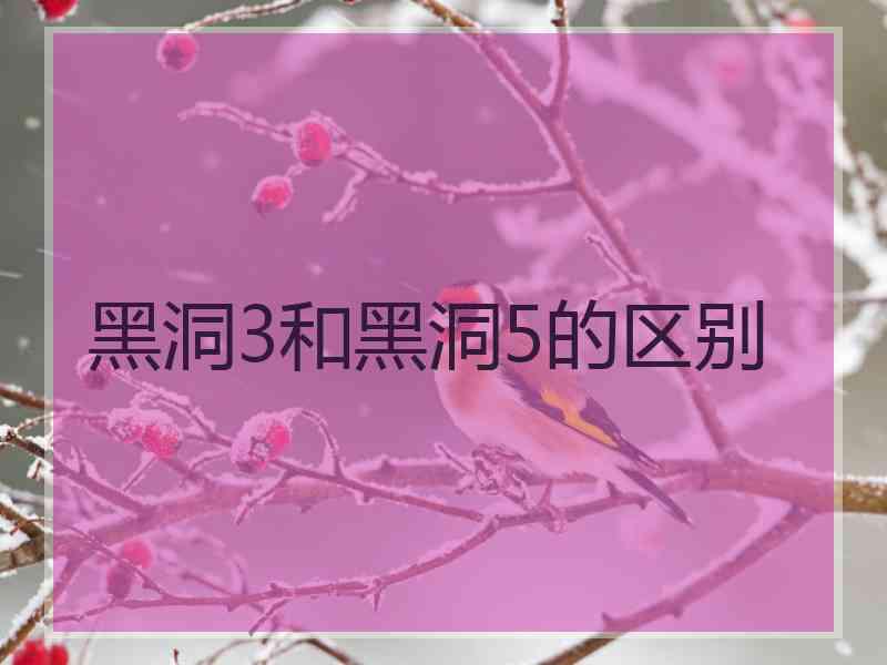 黑洞3和黑洞5的区别