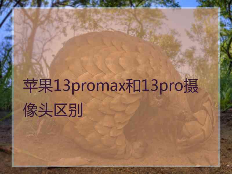 苹果13promax和13pro摄像头区别