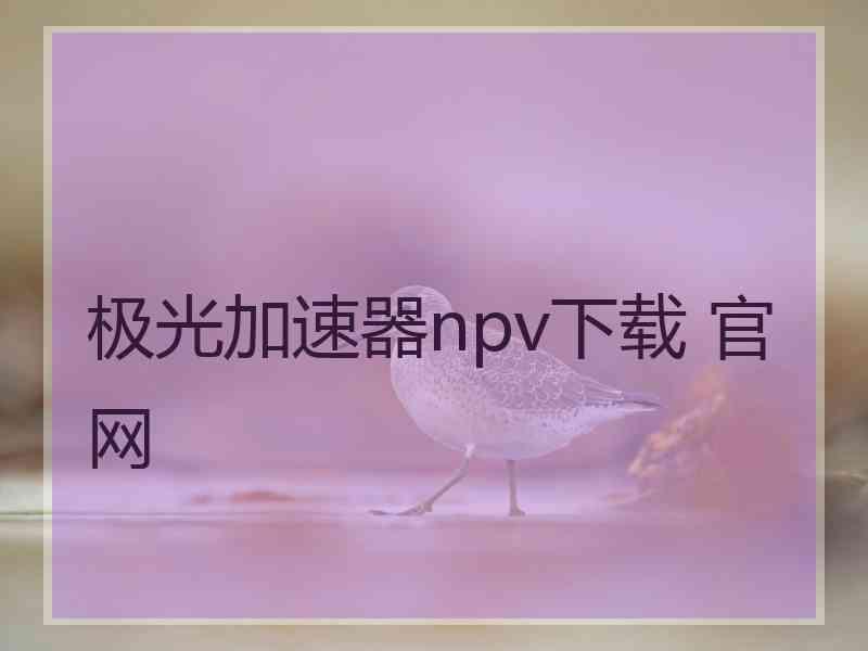 极光加速器npv下载 官网