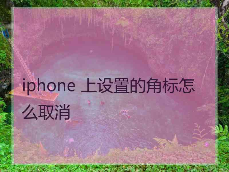 iphone 上设置的角标怎么取消