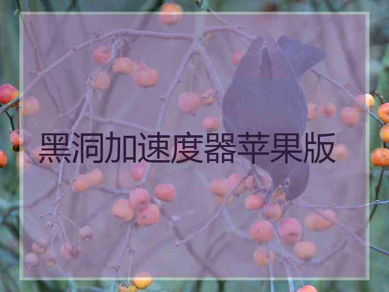 黑洞加速度器苹果版