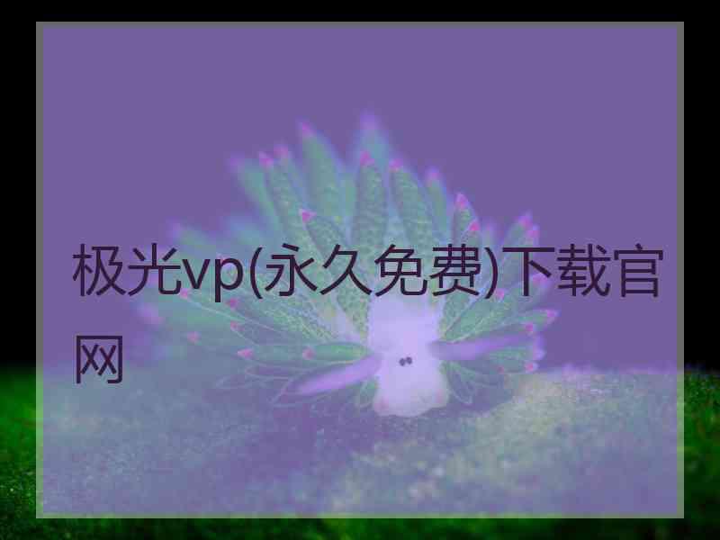 极光vp(永久免费)下载官网