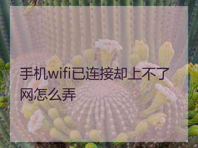 手机wifi已连接却上不了网怎么弄