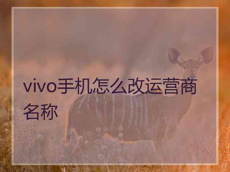 vivo手机怎么改运营商名称