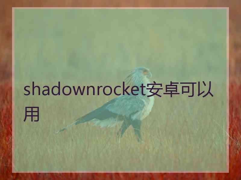 shadownrocket安卓可以用