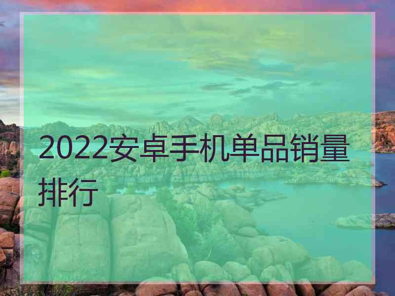 2022安卓手机单品销量排行