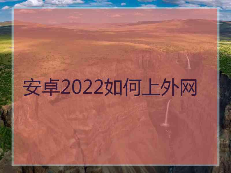 安卓2022如何上外网