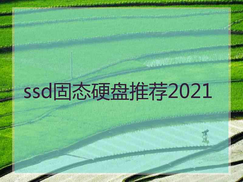 ssd固态硬盘推荐2021