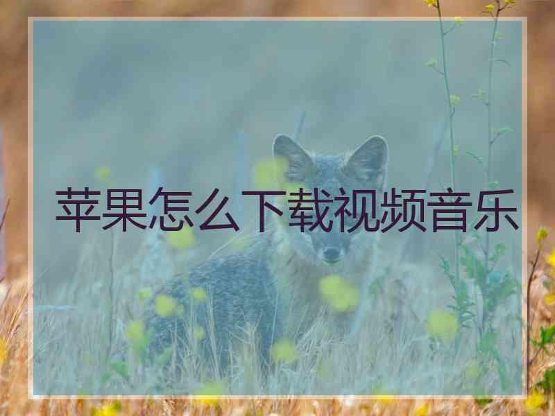 苹果怎么下载视频音乐