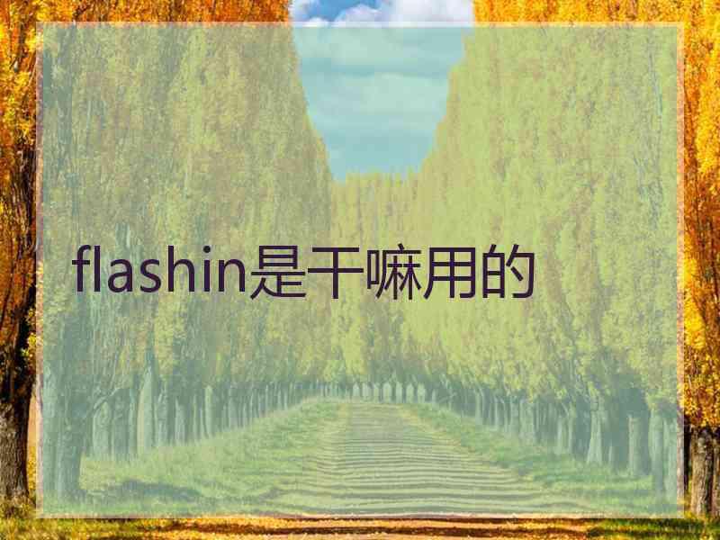 flashin是干嘛用的