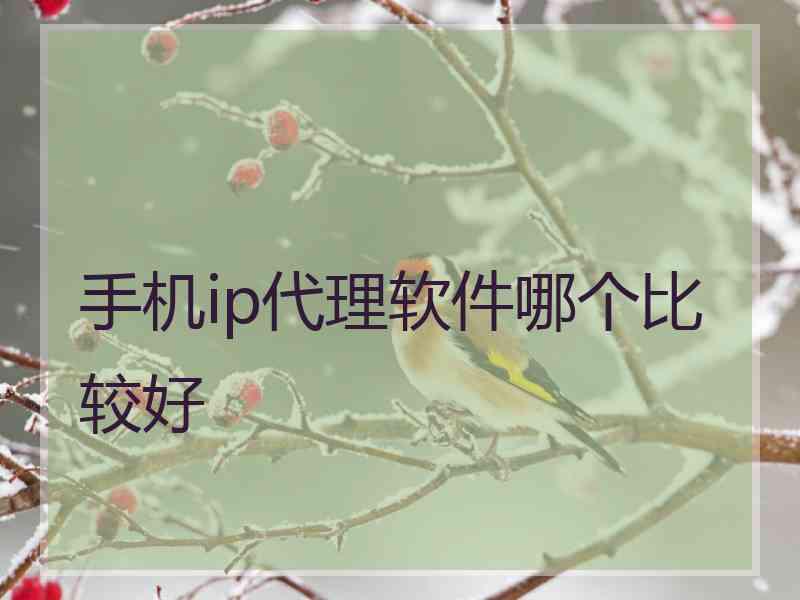 手机ip代理软件哪个比较好