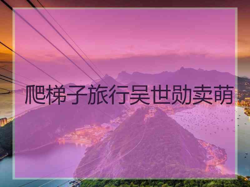 爬梯子旅行吴世勋卖萌