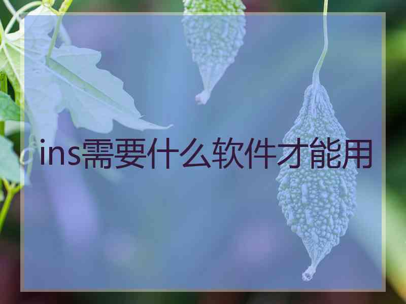 ins需要什么软件才能用