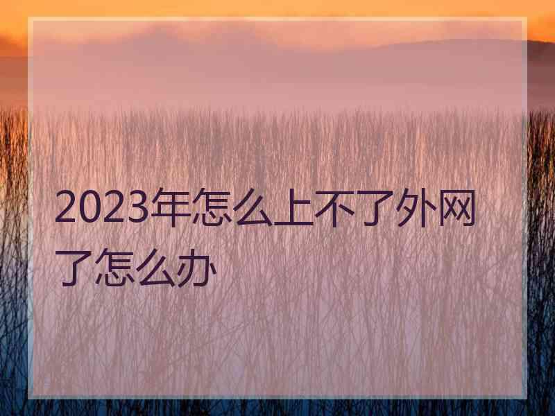 2023年怎么上不了外网了怎么办