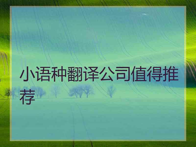 小语种翻译公司值得推荐