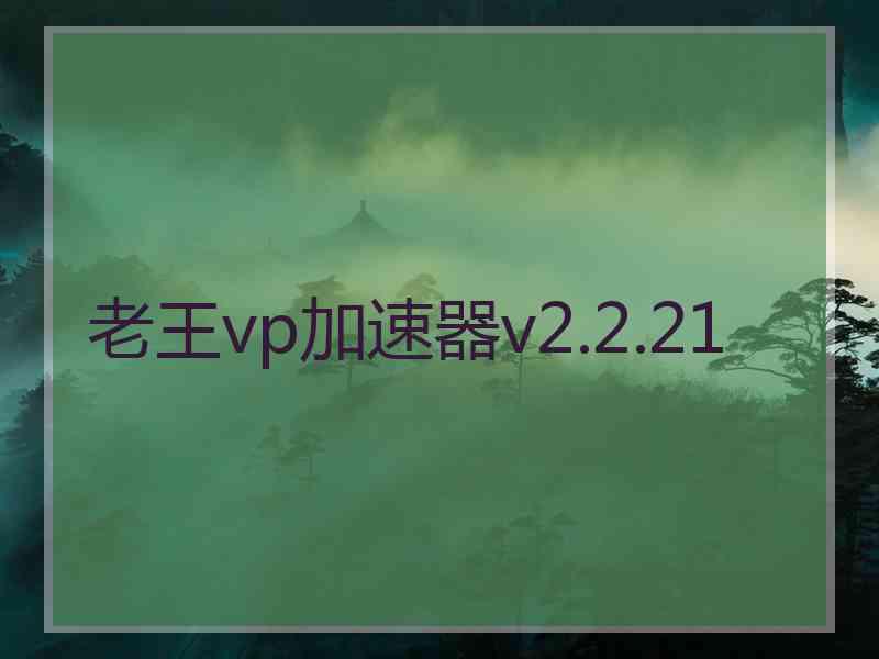 老王vp加速器v2.2.21