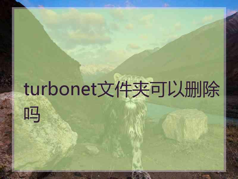 turbonet文件夹可以删除吗