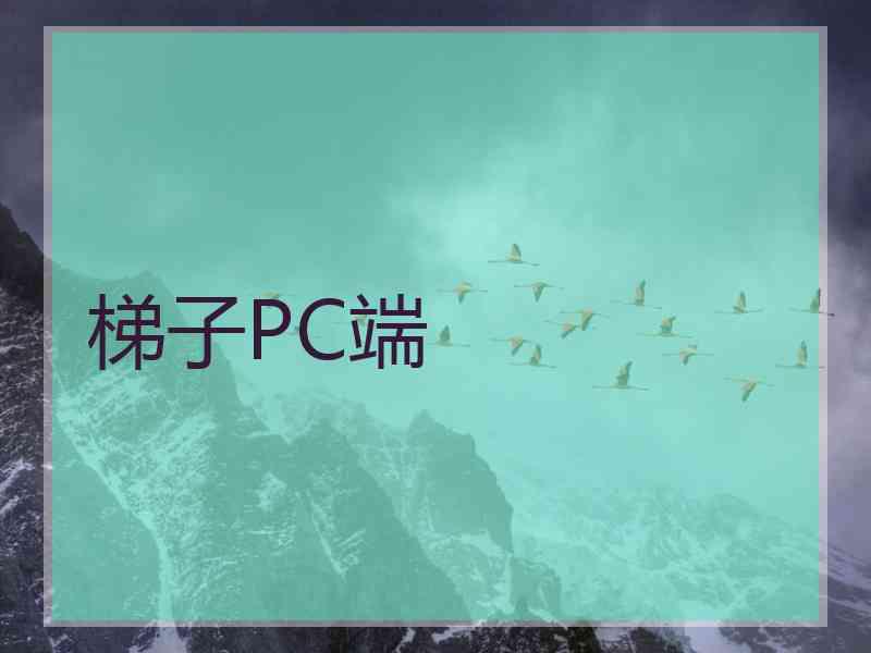 梯子PC端