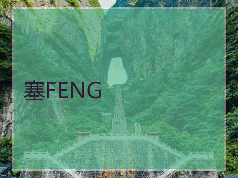 塞FENG