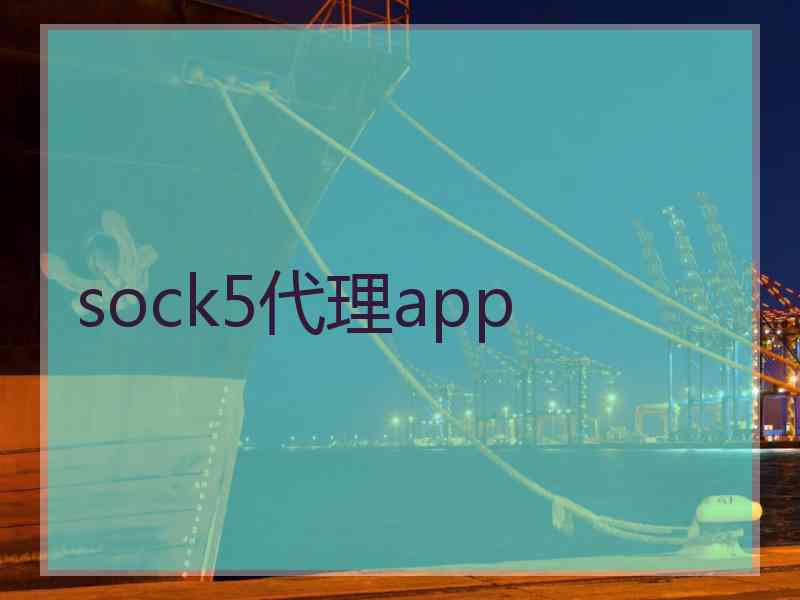 sock5代理app