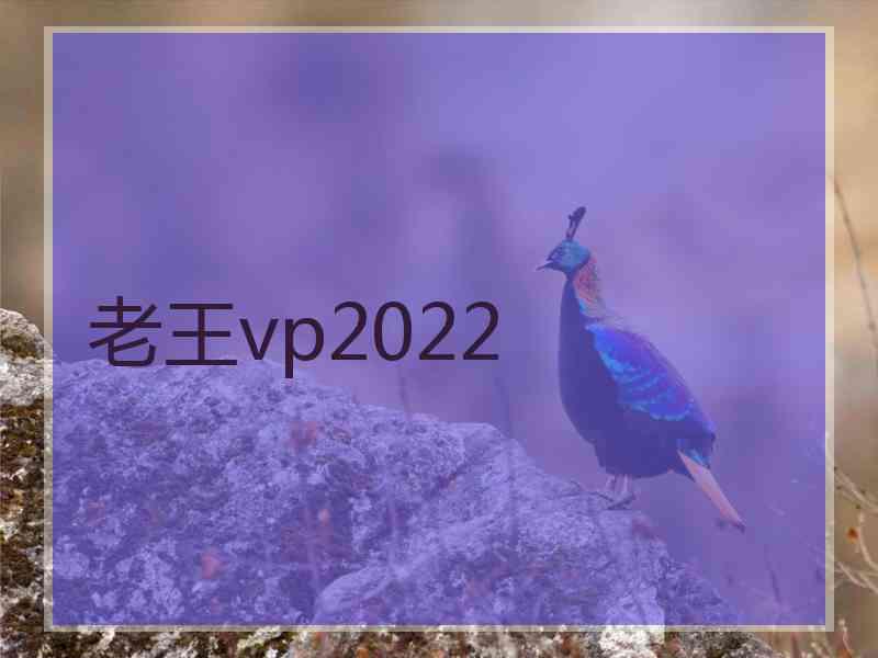 老王vp2022