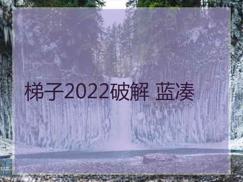 梯子2022破解 蓝凑