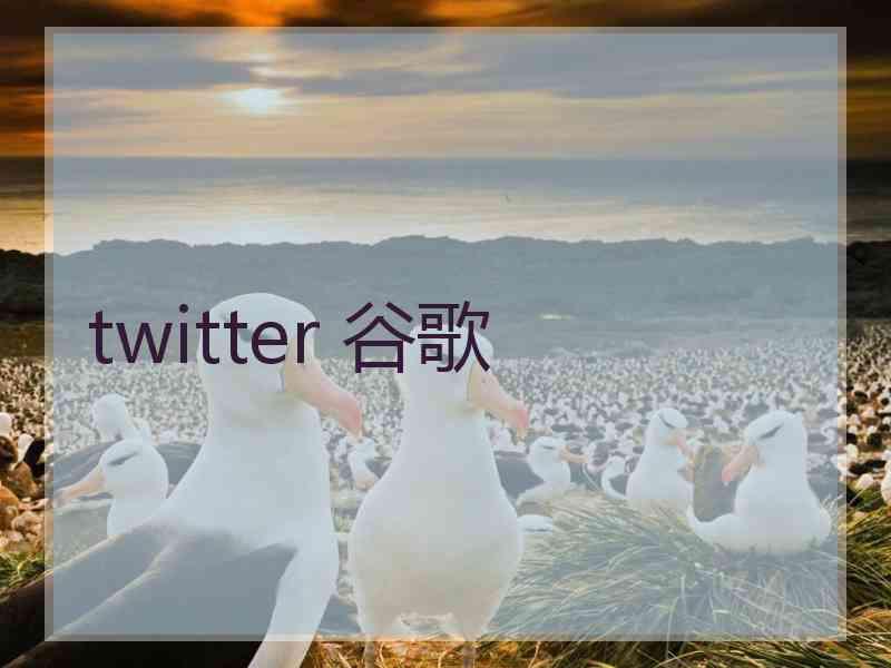 twitter 谷歌