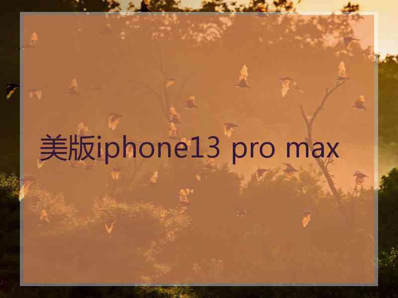 美版iphone13 pro max