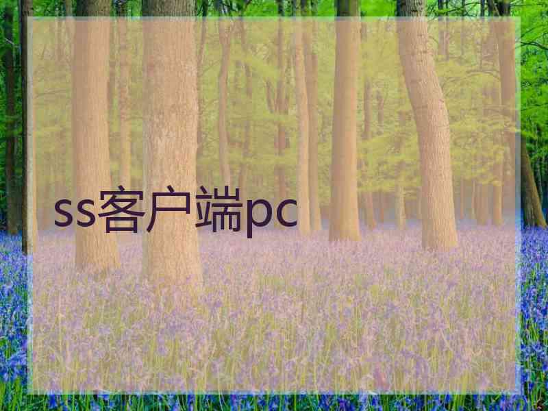 ss客户端pc