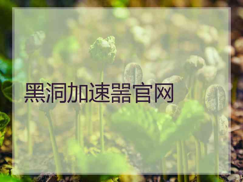 黑洞加速噐官网