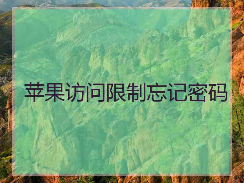 苹果访问限制忘记密码