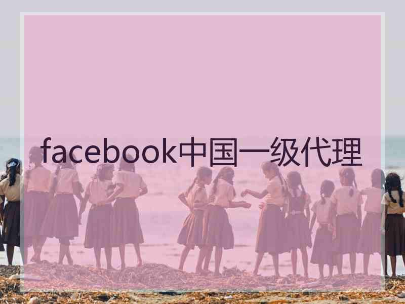 facebook中国一级代理