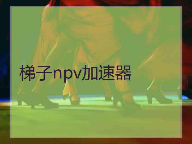 梯子npv加速器