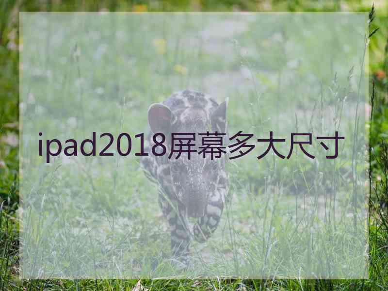 ipad2018屏幕多大尺寸