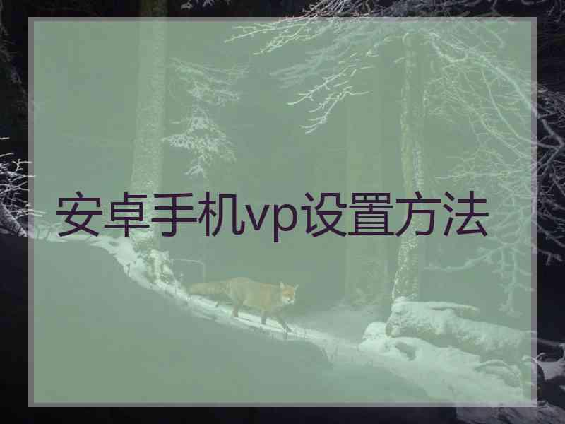 安卓手机vp设置方法